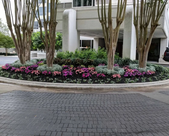 San Antonio, TX Commercial Landscaping Companies