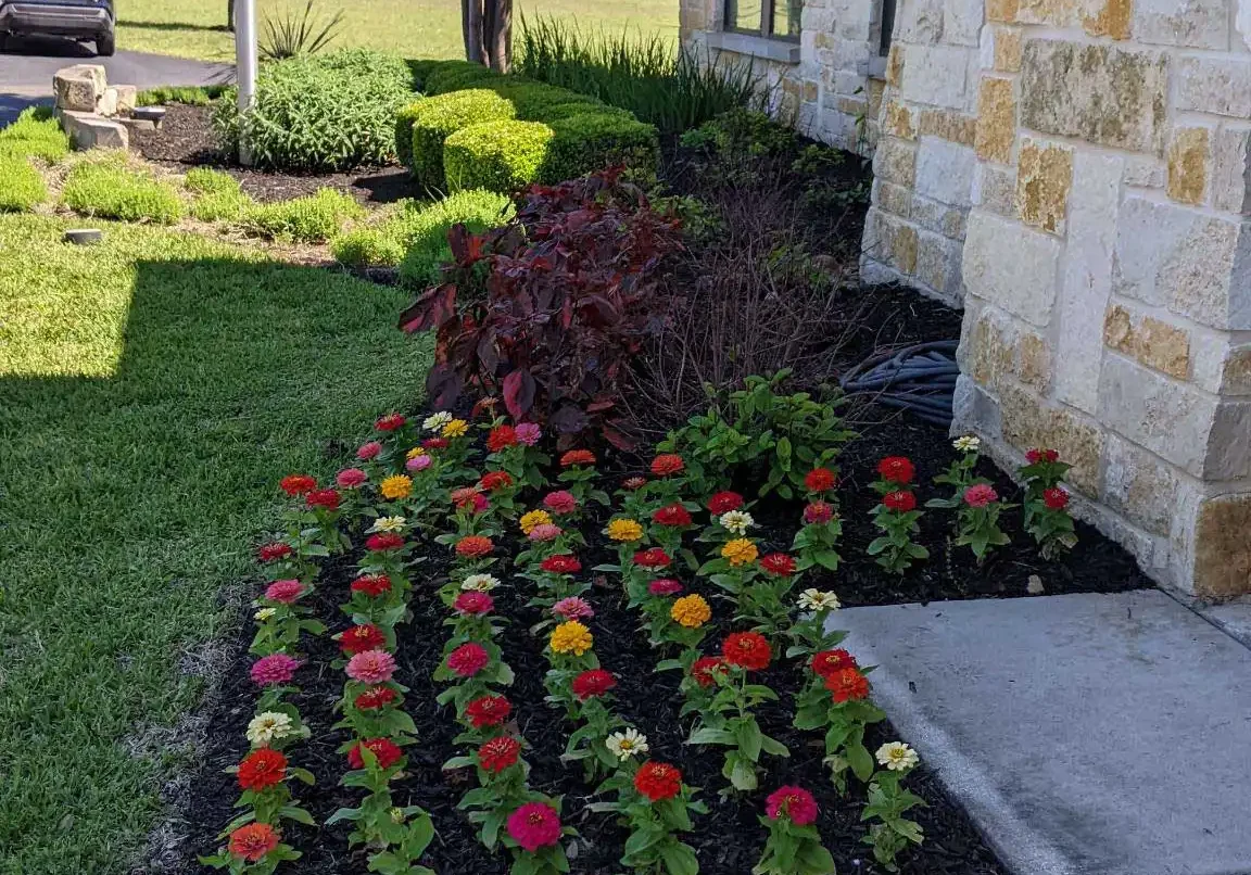 San Antonio, TX Landscape Installation